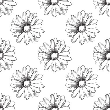 Çiçek deseni. Papatya çizim. Vektör