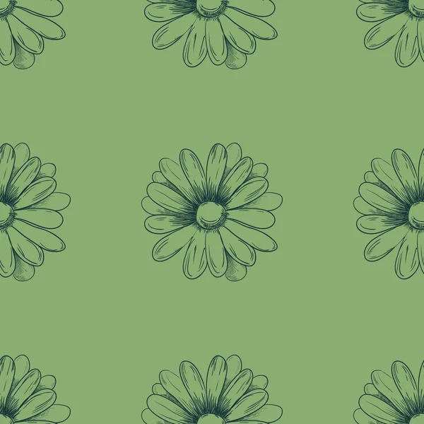 Modèle de fleur. Dessin à la camomille sur fond vert. Vecteur — Image vectorielle