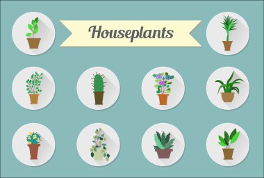 Düz vektör simgeler kümesi. Karanfiller. İllüstrasyon