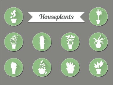 Düz vektör simgeler kümesi. Karanfiller. İllüstrasyon