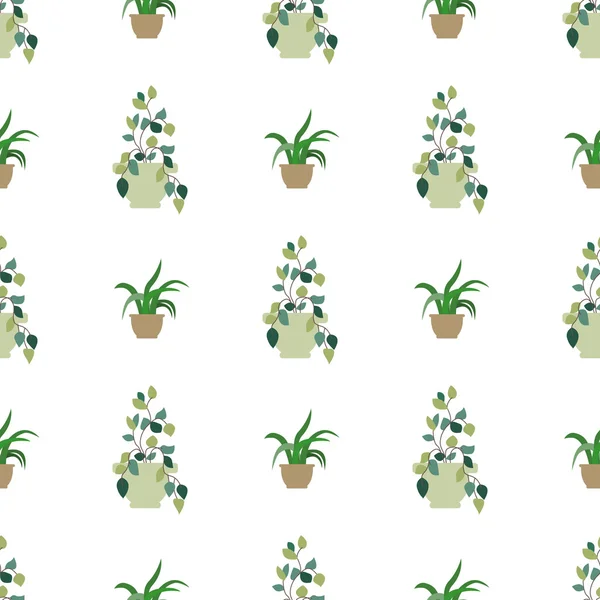 Patrón sin costura vectorial de plantas internas en macetas. Vector — Vector de stock