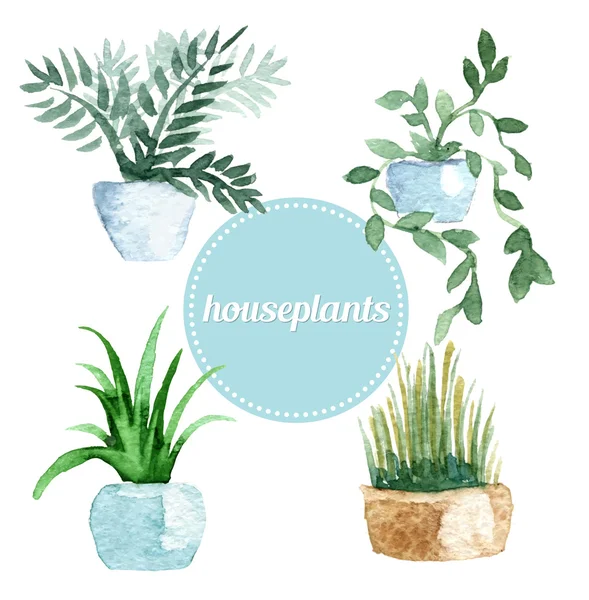 Watercolor vector set of houseplants.Illustration — Stock Vector