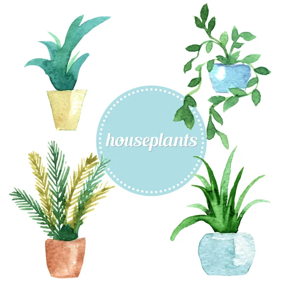 Watercolor vector set of houseplants.Illustration — Stock Vector