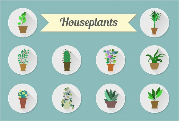 Set ikon vektor datar. House plants.Illustration - Stok Vektor