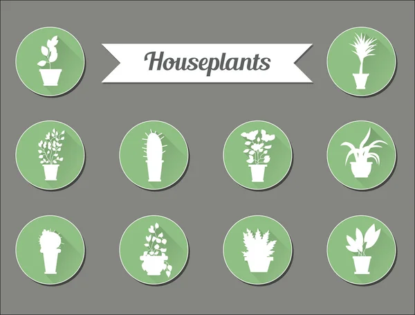 Set of flat vector icons. House plants.Illustration — Stock Vector