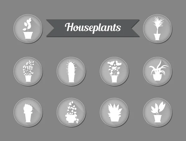 Set of flat vector icons. House plants.Illustration — Stock Vector