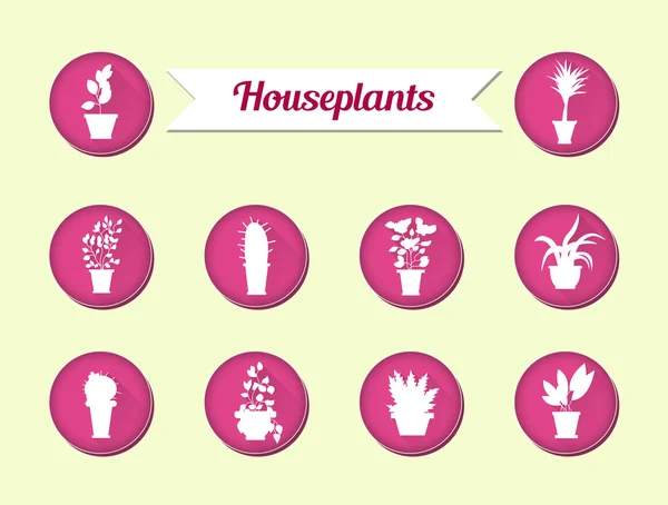 Set of flat vector icons. House plants.Illustration — Stock Vector