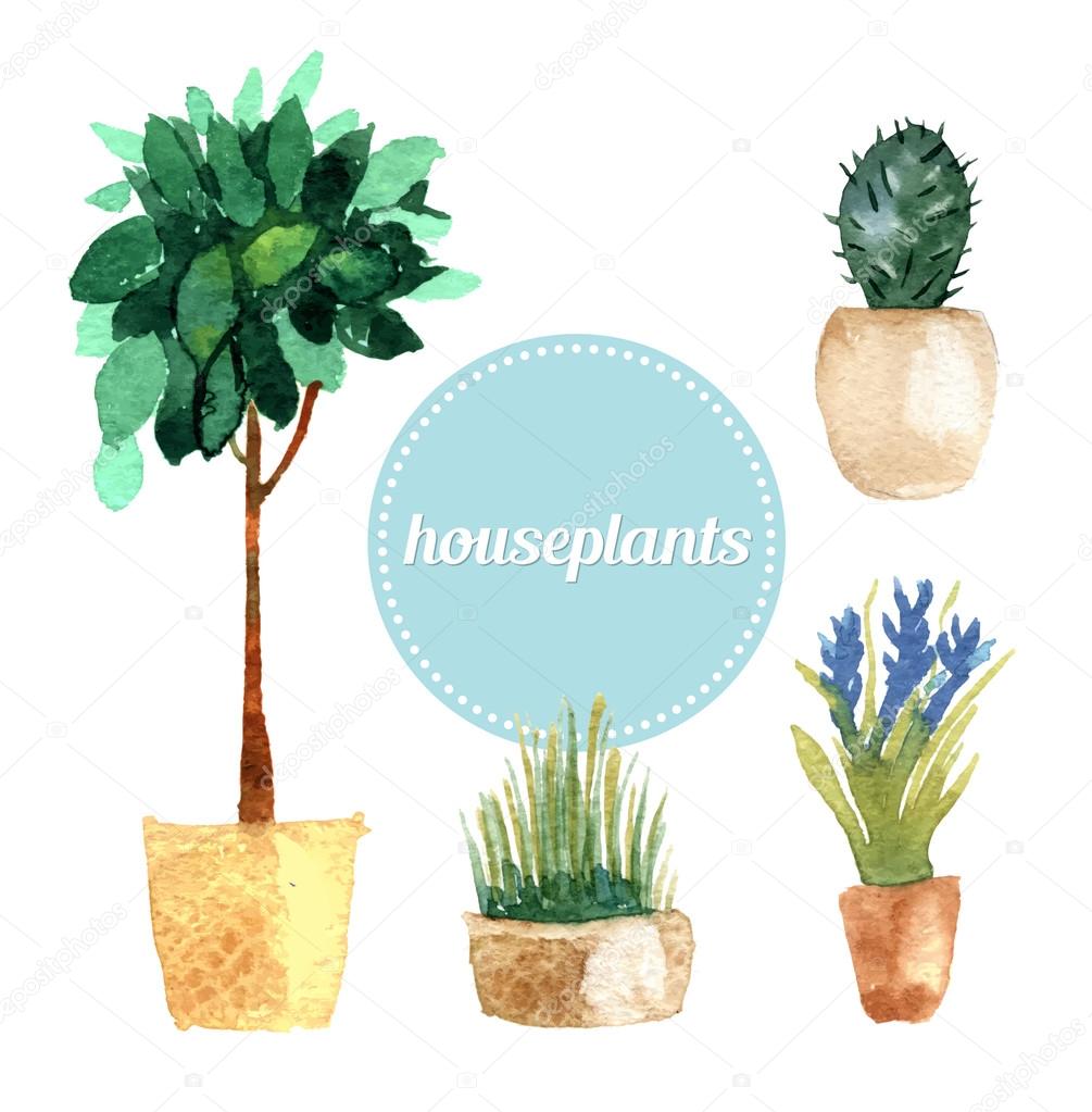 Watercolor vector set of houseplants.Illustration