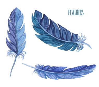 Set of watercolor feathers. Vector clipart