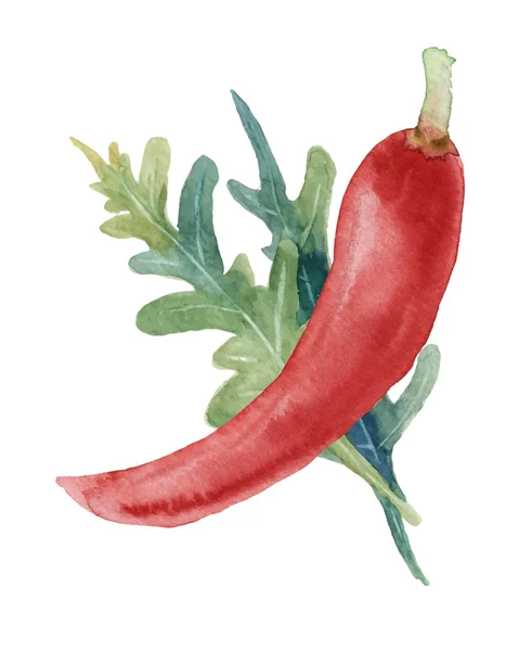 Sayuran air. Pepper dan Rosemary. Ilustrasi vektor - Stok Vektor