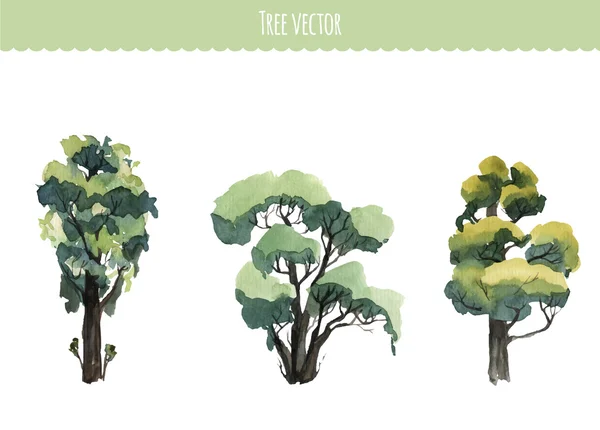 Set of watercolor trees. Vector illustration — Stock Vector