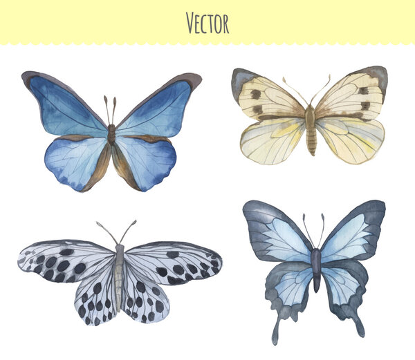 Набор акварельных бабочек. Векторная иллюстрация

