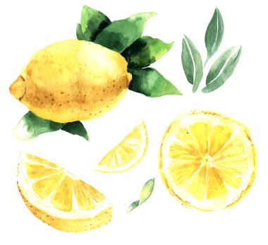 Limon sulu boya kümesi. Limon kesimi, sulu limon. Vektör Il