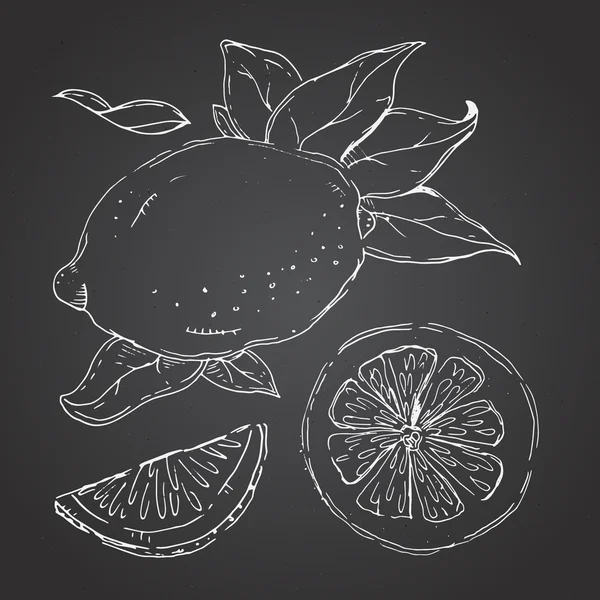 L'ensemble de citrons dessinés. Segments de citron, citron juteux. Arrière sombre — Image vectorielle