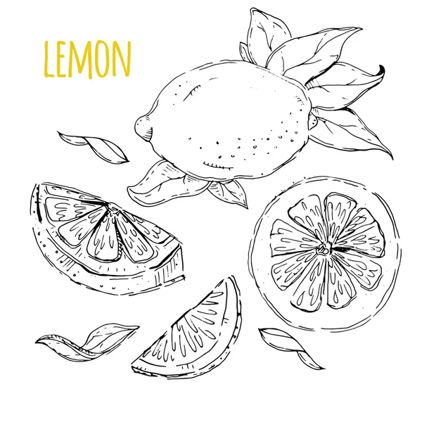 Il set disegnato di limoni. Segmenti di limone, limone succoso. Indietro bianco — Vettoriale Stock