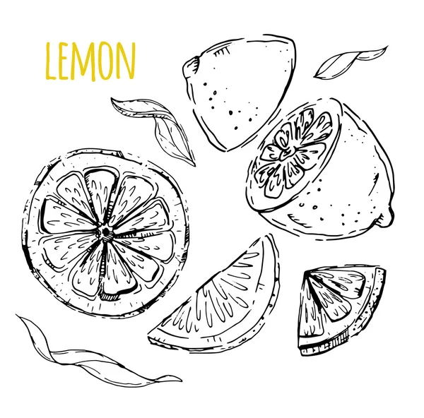 Il set disegnato di limoni. Segmenti di limone, limone succoso. Indietro bianco — Vettoriale Stock