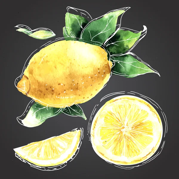 L'aquarelle dessinée ensemble de citrons. Segments de citron, citron juteux . — Image vectorielle