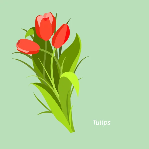 Spring flowers. Tulip. Flet design. Vector illustration