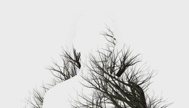Double Exposure siluet ve kış ağaç