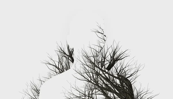 Dupla exposição de silhuetas e árvores de inverno Fotos De Bancos De Imagens