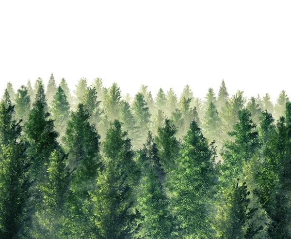 Illustrazione digitale 3d Foresta resa Foto Stock