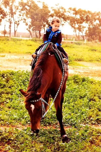 Piccolo cavaliere . — Foto Stock
