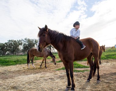 Çocuk bir atı ile.