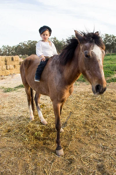 Dítě s koněm. — Stock fotografie