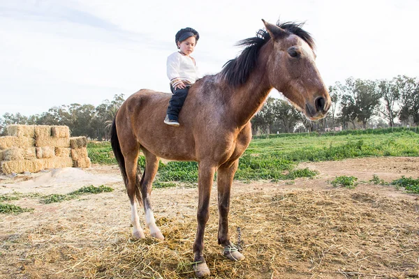 Dítě s koněm. — Stock fotografie