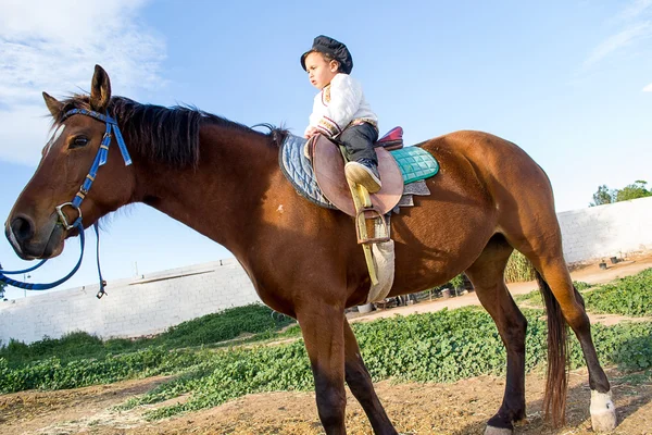 Enfant avec un cheval . — Photo