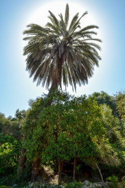 Vadi des cennet. Imouzzer.