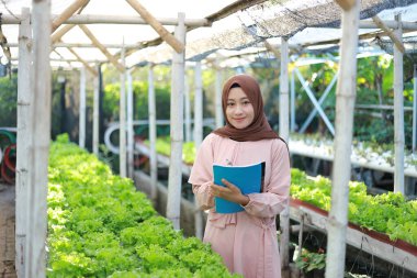 Asyalı Müslüman kız köydeki hidrofonik sebze bahçesinin gelişimini kaydetti.
