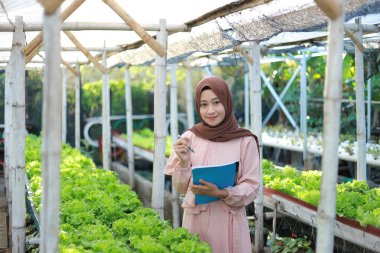 Asyalı Müslüman kız köydeki hidrofonik sebze bahçesinin gelişimini kaydetti.