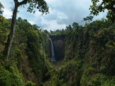 Kabut pelangi şelalesinin hava manzarası Lumajang, Doğu Java, Endonezya.