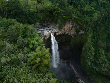 Coban sriti şelalesinin hava manzarası Lumajang, Doğu Java, Endonezya.