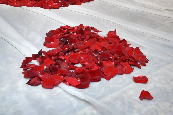 Сердце Красных Лепестков Роз Полу Белом Тюле — стоковое фото