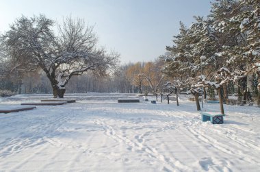 Güzel kış manzarası, parkta kare, ağaçlar, güneşli bir sabahta karla kaplı banklar.