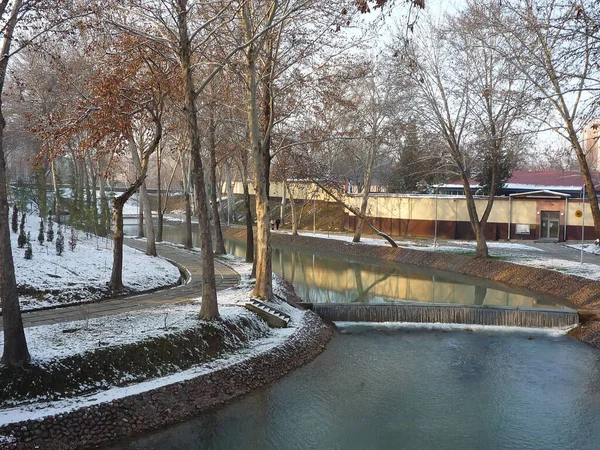 Paisaje Invernal Río Medio Del Parque Ciudad Callejón Árboles Cubiertos — Foto de Stock