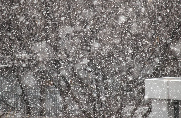 Winter snowfall, blurred snowflakes on the background of brown trees and branches