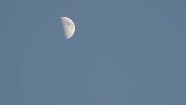 晴朗的夜晚 半月形的月亮在晴朗的天空中穿行 — 图库视频影像