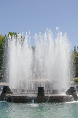Parktaki çeşme yeşil ağaçların ve mavi gökyüzünün önündeki su havuzunun içinde.