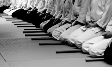 Aikido seminary begin clipart