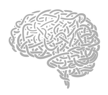 İnsan beyni, şehriye, kablo ya da kabloya benzeyen düzensiz birbirine karışan çizgilerden oluşur.