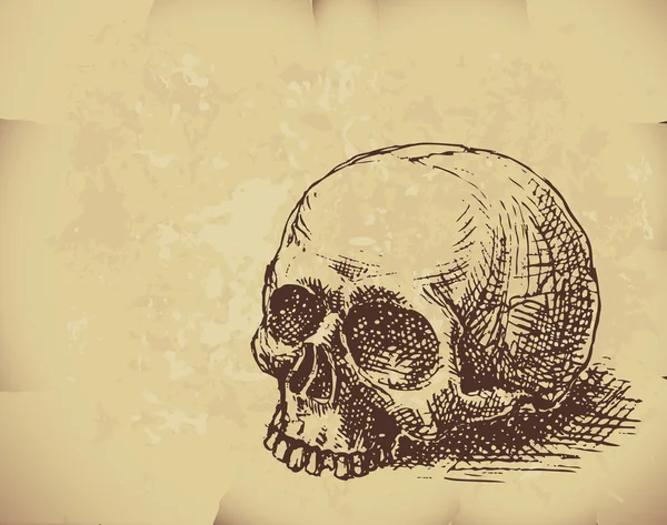 Calavera dibujada a mano — Archivo Imágenes Vectoriales