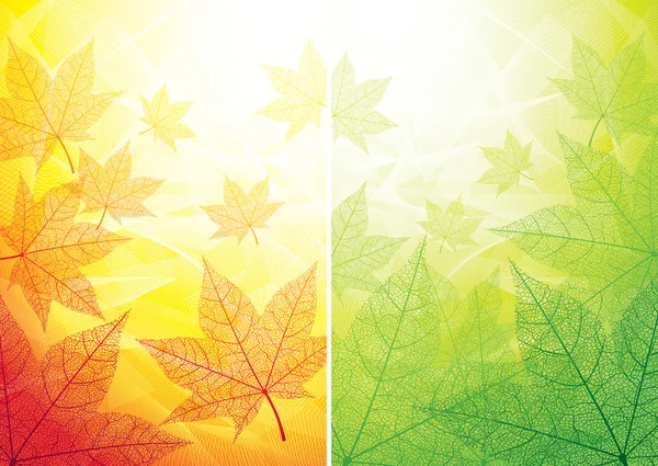 Autumn and summer backgrounds Royalty Free Stock Vectors