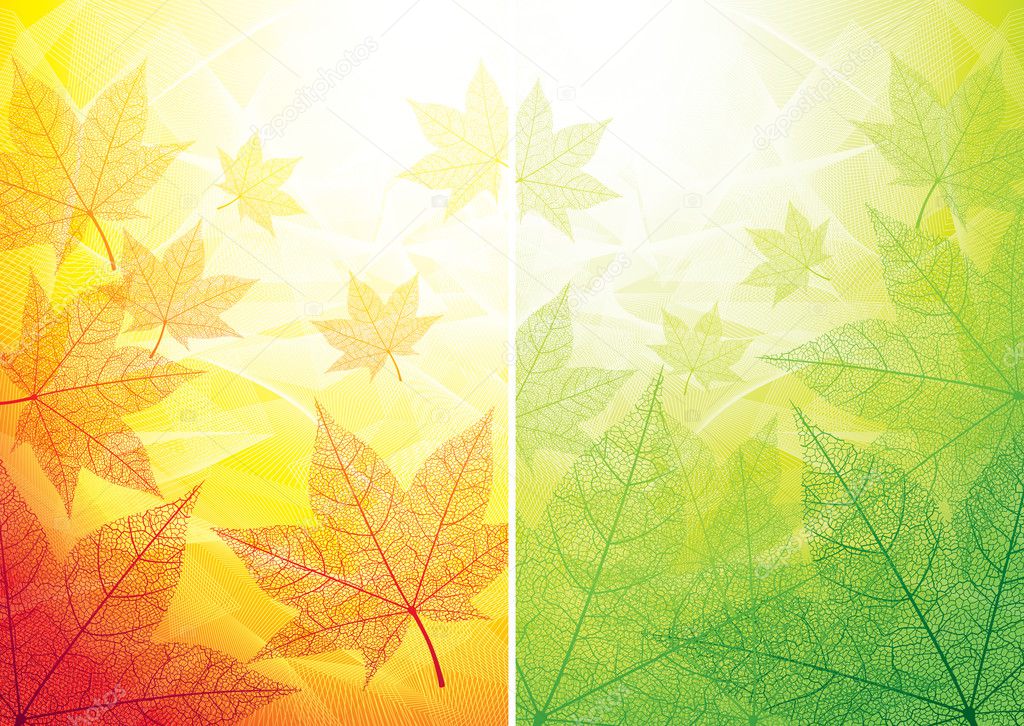 Autumn and summer backgrounds