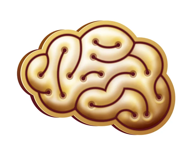 Cerveau d'or — Image vectorielle