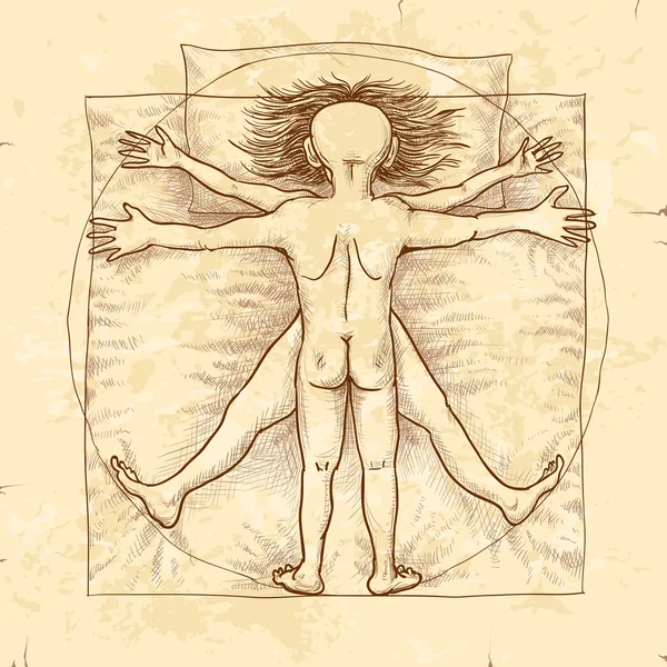 Vitruvian paar — Stockvektor