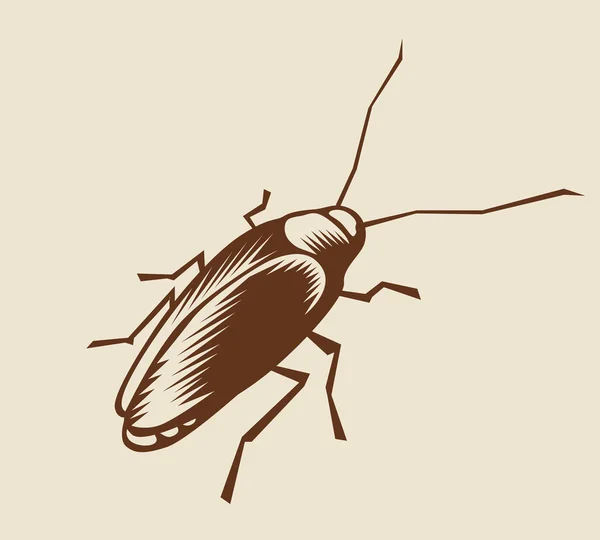 蟑螂(蟑螂) — 图库矢量图片