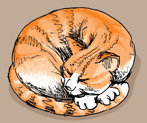 睡红猫 — 图库矢量图片